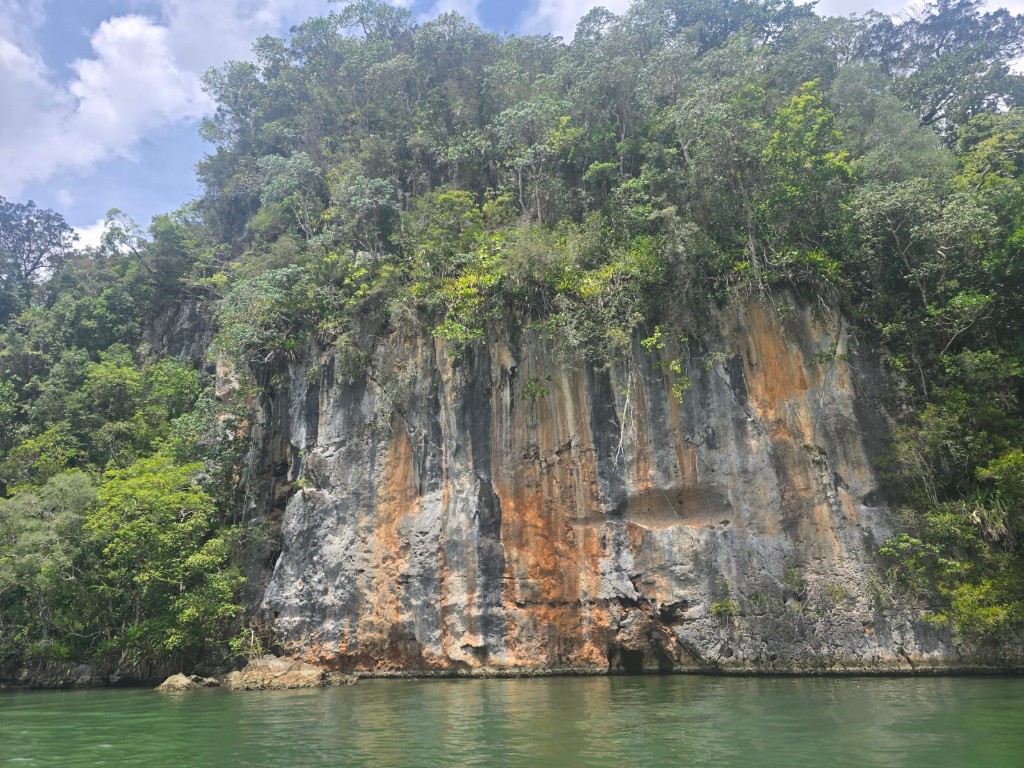 Mogote y manglar